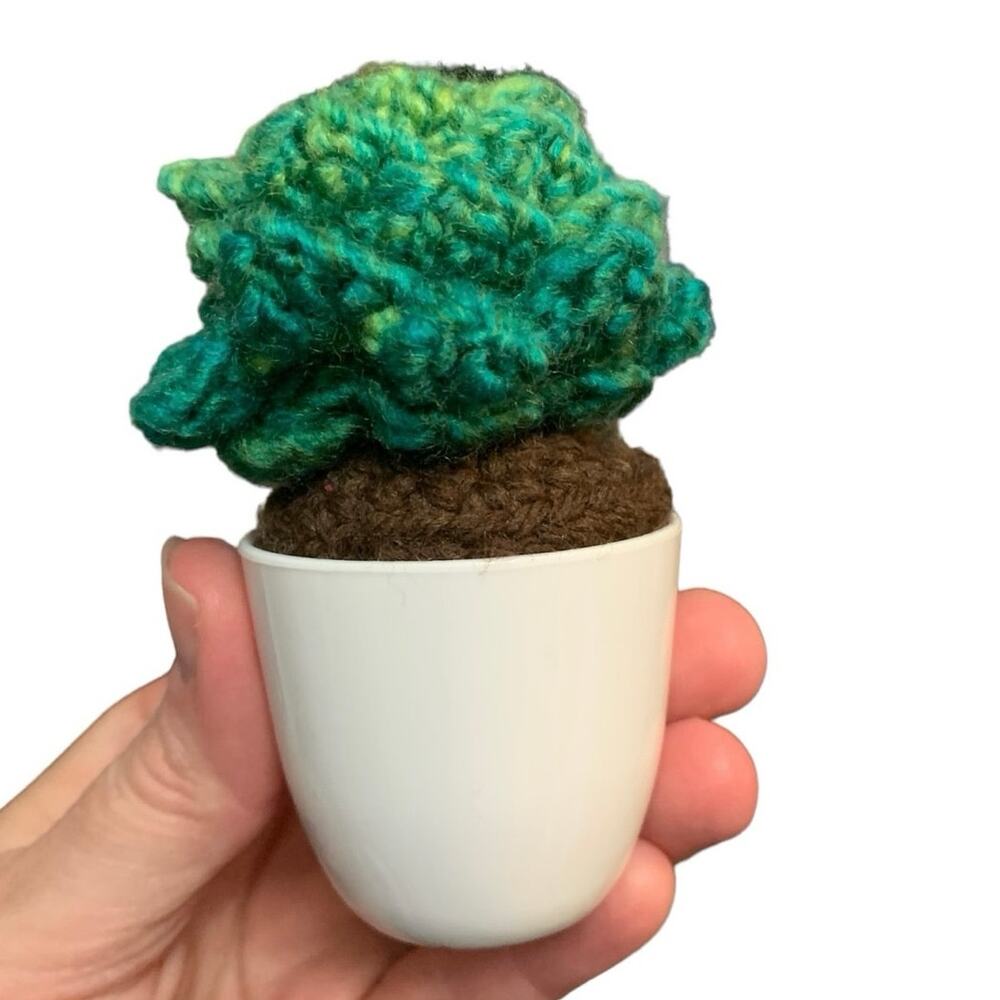 Cute Crochet Succulent Handmade Plant Home Decor